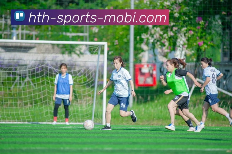 华体会体育全站App